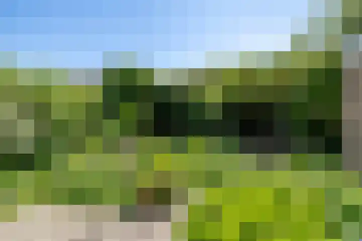 de Grouw 17 Leek thumbnail 31