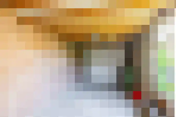 de Grouw 17 Leek thumbnail 32