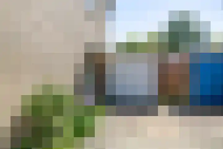 de Grouw 17 Leek thumbnail 34