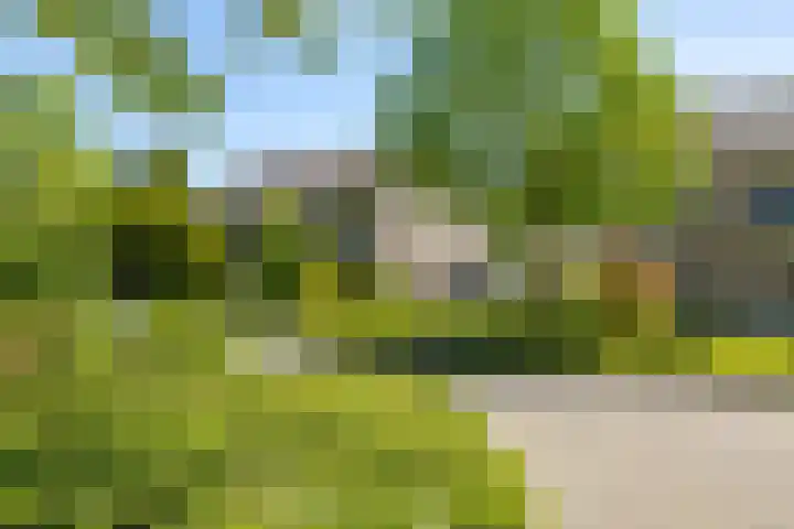 de Grouw 17 Leek thumbnail 36