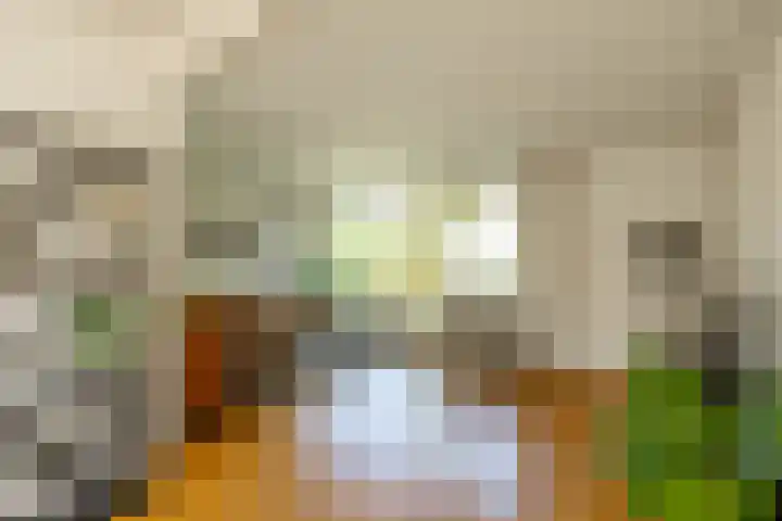 de Grouw 17 Leek thumbnail 5