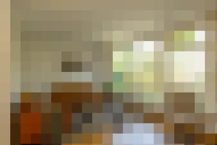 de Grouw 17 Leek thumbnail 6