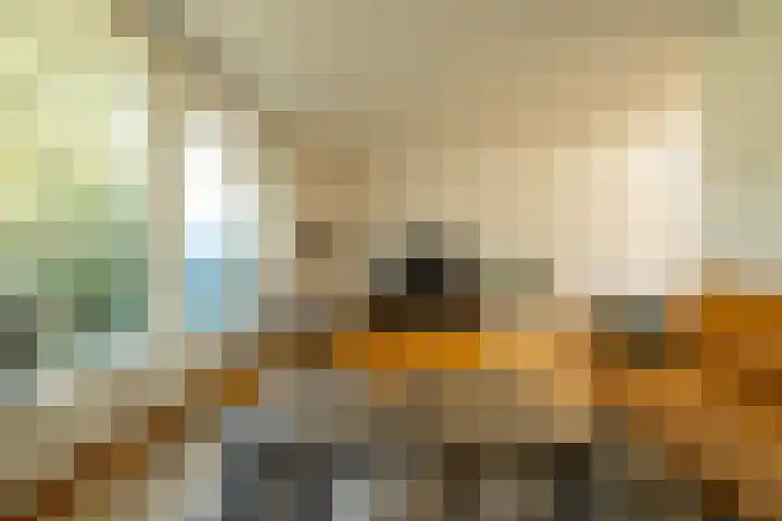 de Grouw 17 Leek thumbnail 7