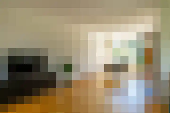 de Grouw 17 Leek thumbnail 8