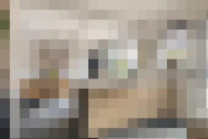 de Grouw 32 Leek thumbnail 10