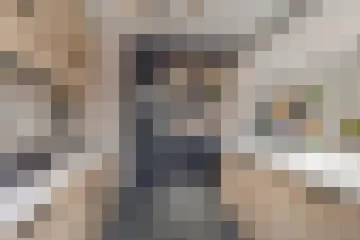 de Grouw 32 Leek thumbnail 12