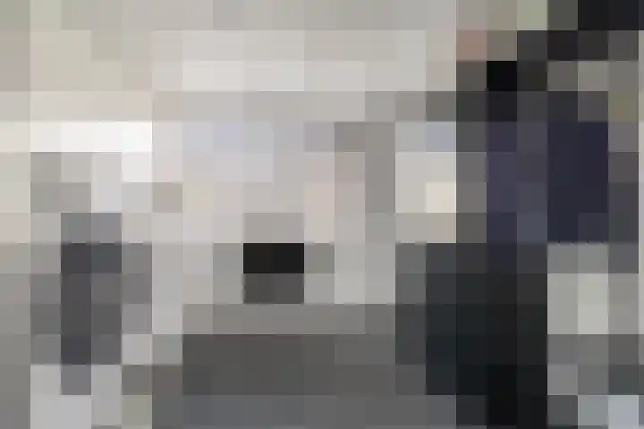 de Grouw 32 Leek thumbnail 13