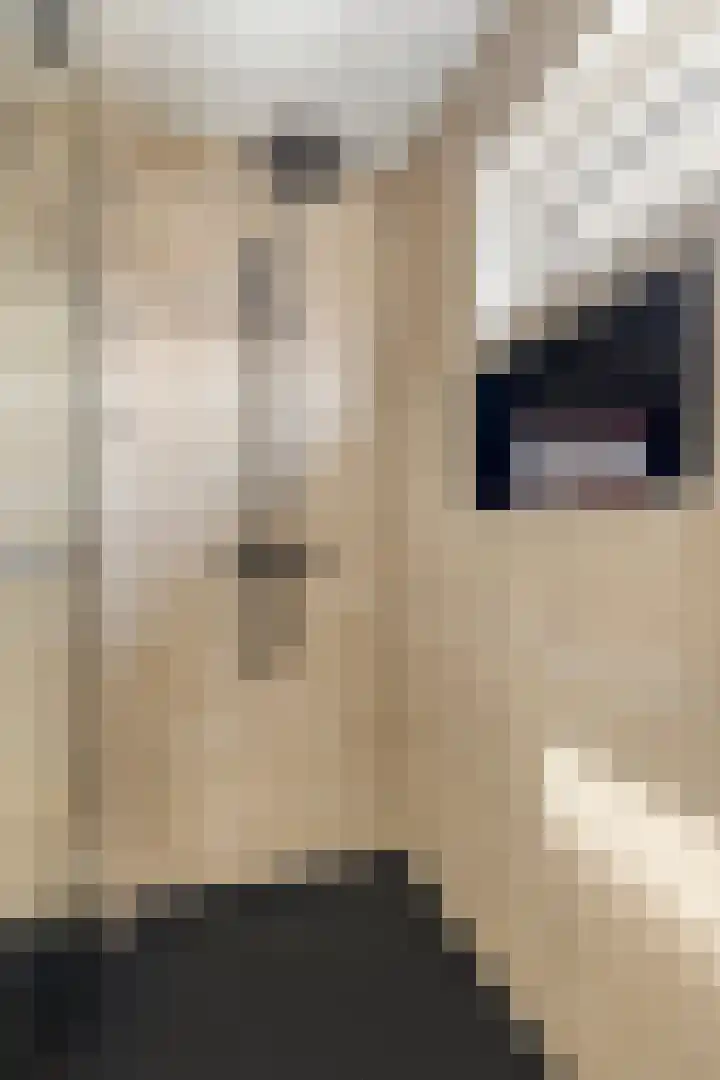 de Grouw 32 Leek thumbnail 20