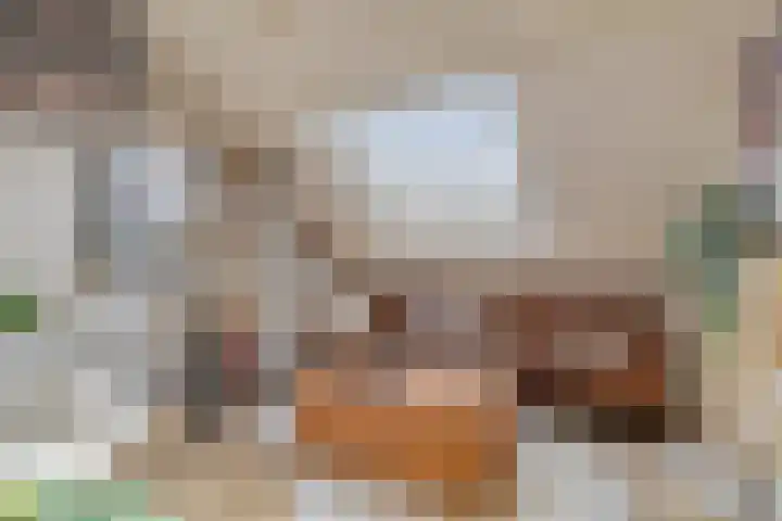 de Grouw 32 Leek thumbnail 25