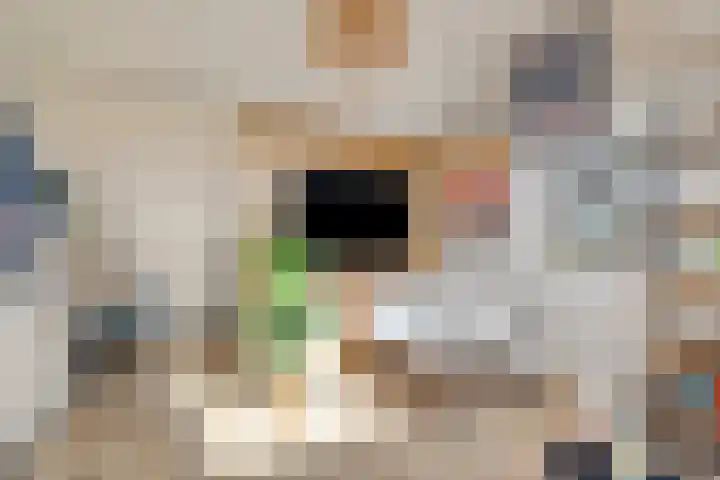 de Grouw 32 Leek thumbnail 27