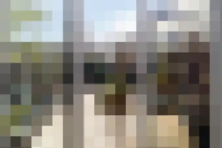 de Grouw 32 Leek thumbnail 28