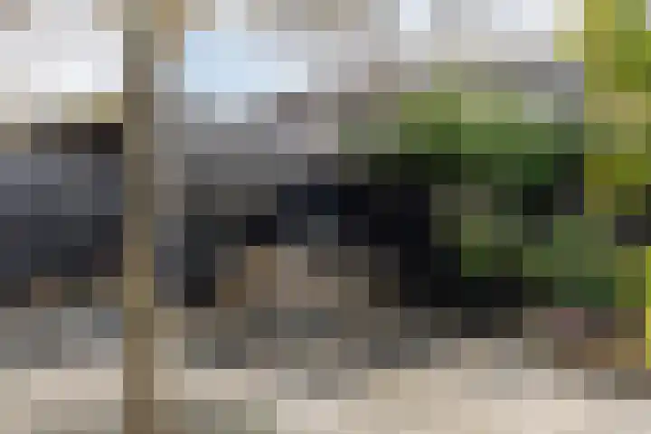 de Grouw 32 Leek thumbnail 32