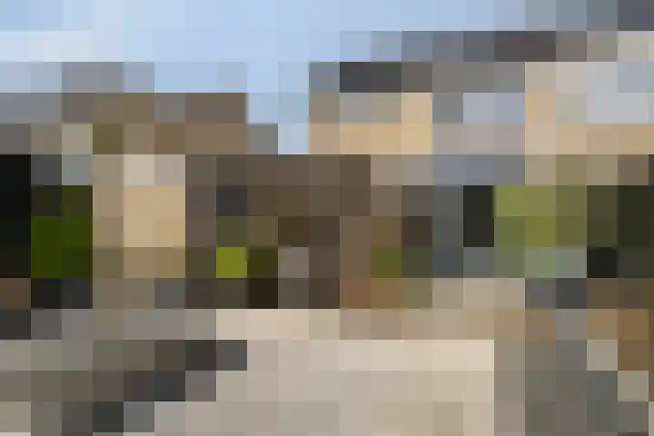 de Grouw 32 Leek thumbnail 33