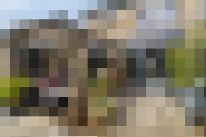 de Grouw 32 Leek thumbnail 34
