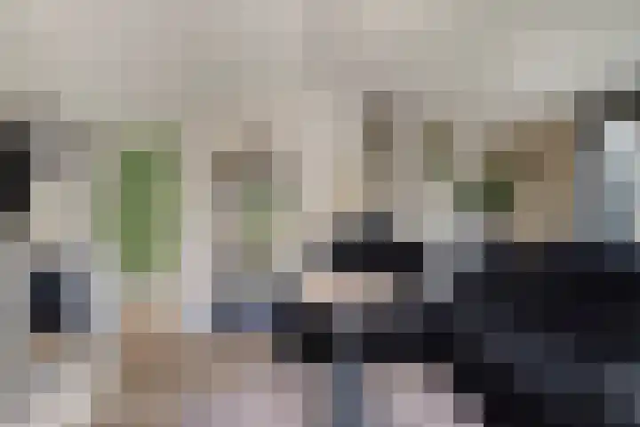 de Grouw 32 Leek thumbnail 38