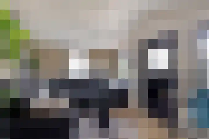 de Grouw 32 Leek thumbnail 39