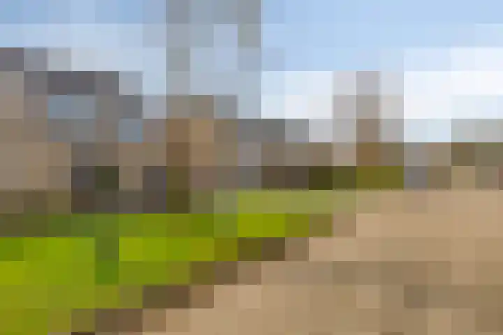 de Grouw 32 Leek thumbnail 42
