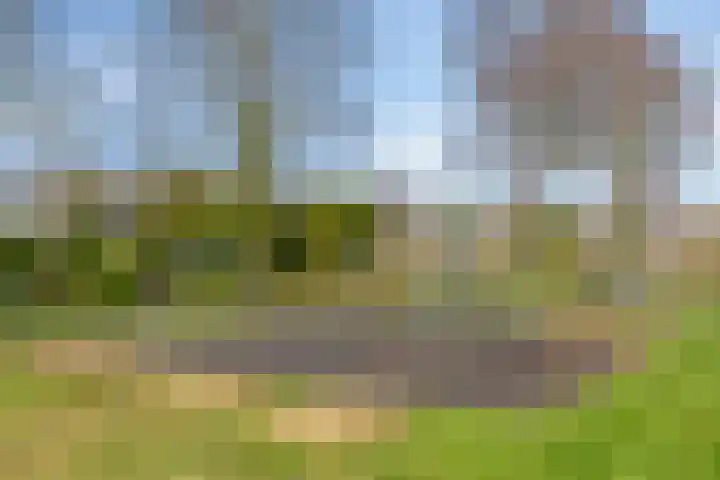 de Grouw 32 Leek thumbnail 44