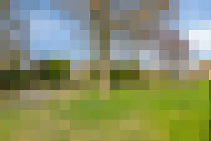de Grouw 32 Leek thumbnail 45