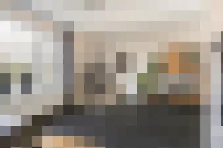 de Grouw 32 Leek thumbnail 5