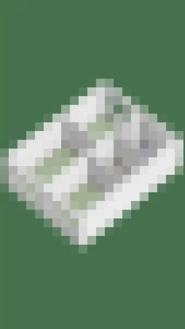 de Grouw 32 Leek thumbnail 51
