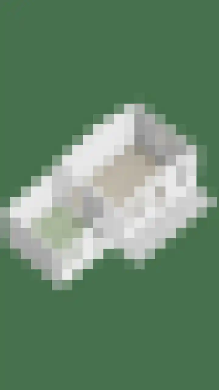 de Grouw 32 Leek thumbnail 53