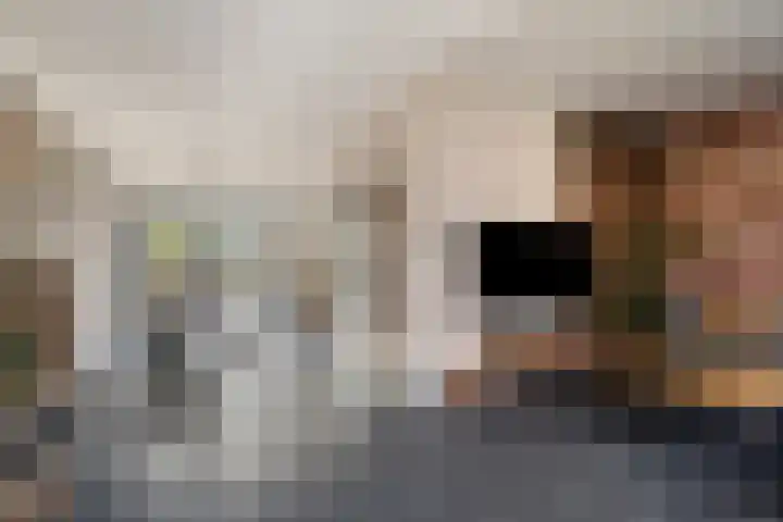 de Grouw 32 Leek thumbnail 6