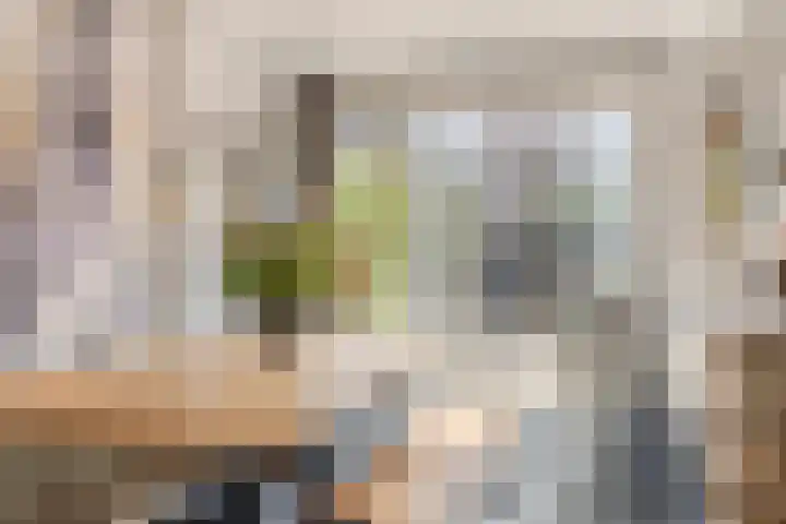 de Grouw 32 Leek thumbnail 8