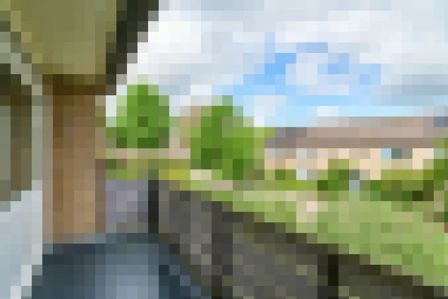 de Grouw 5 Leek thumbnail 14