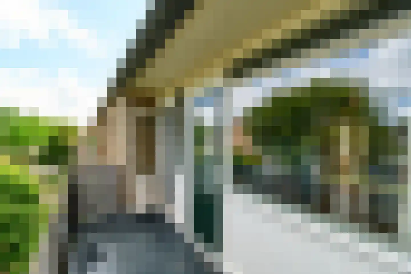 de Grouw 5 Leek thumbnail 15