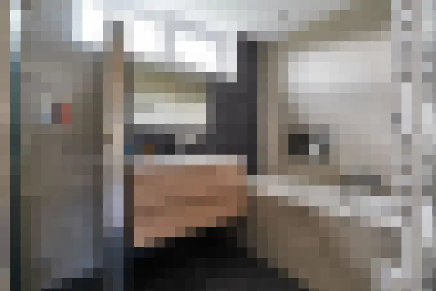 de Grouw 5 Leek thumbnail 18