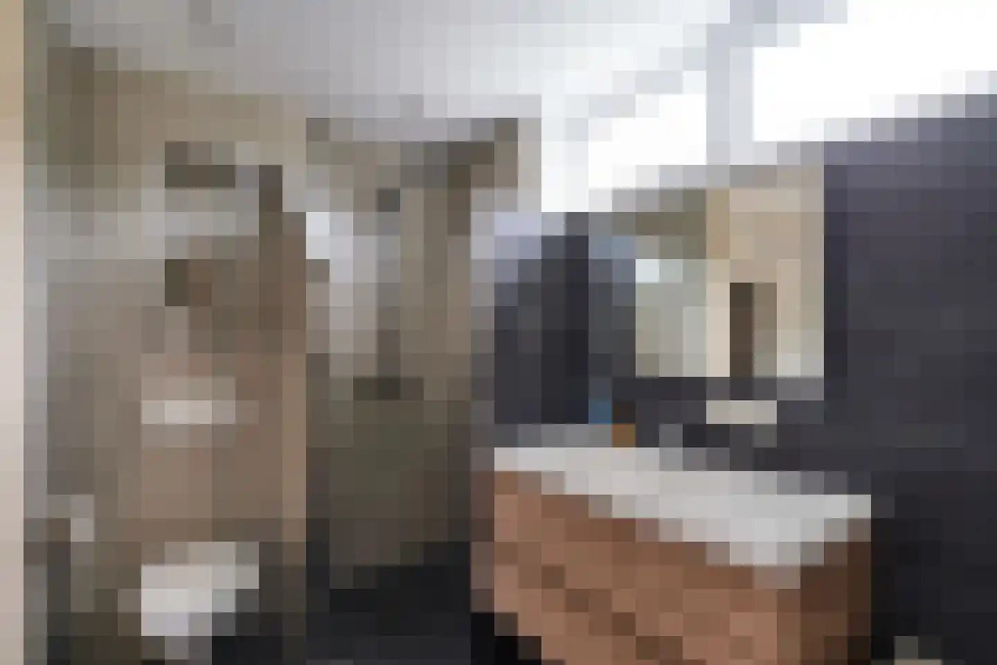 de Grouw 5 Leek thumbnail 19