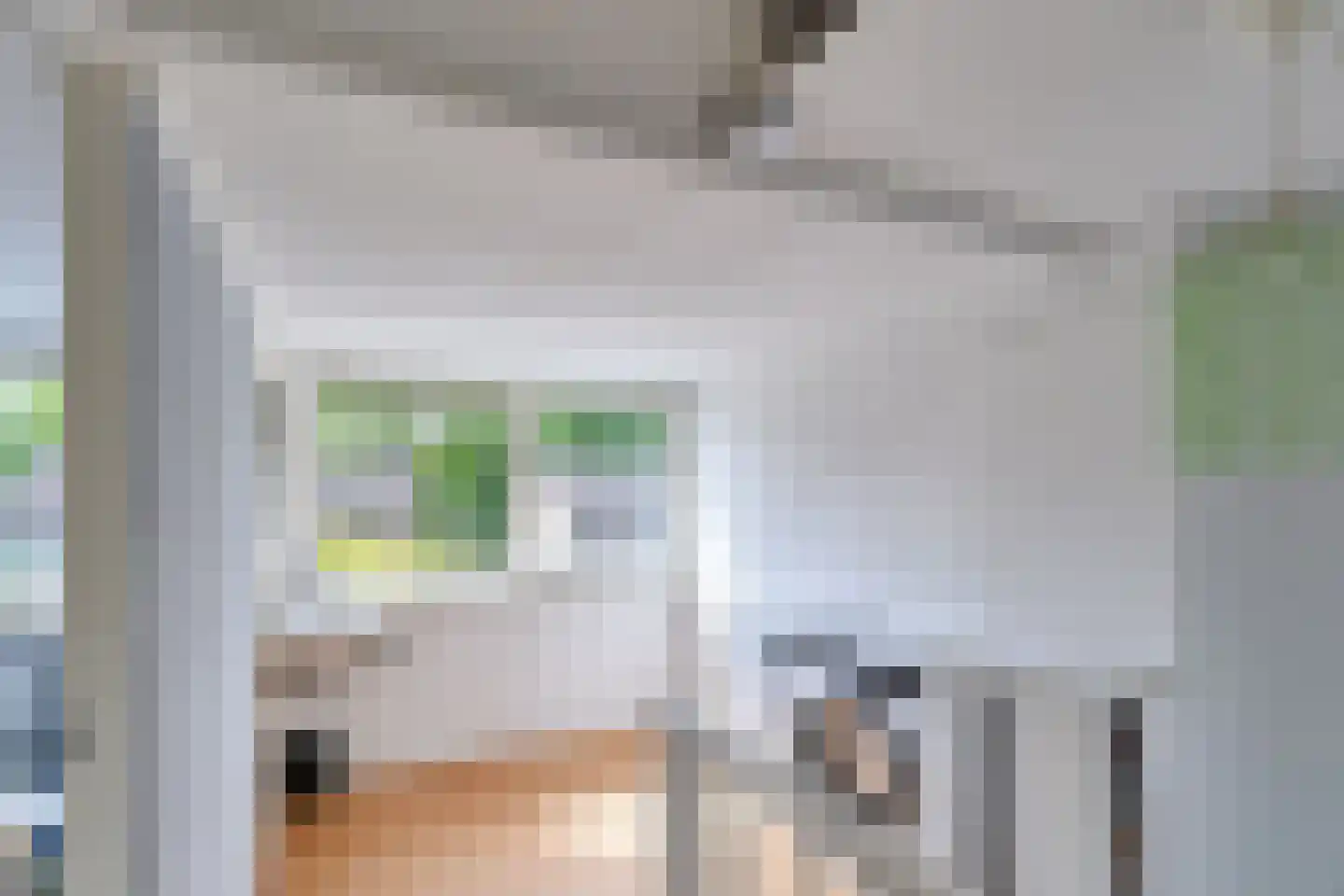 de Grouw 5 Leek thumbnail 20