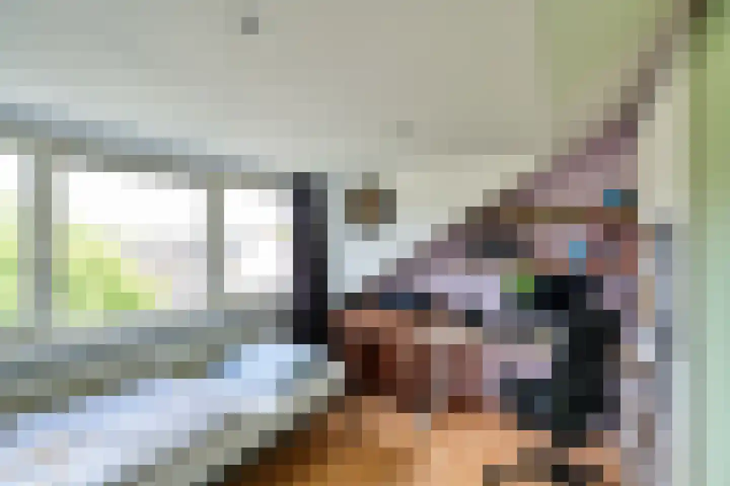 de Grouw 5 Leek thumbnail 22
