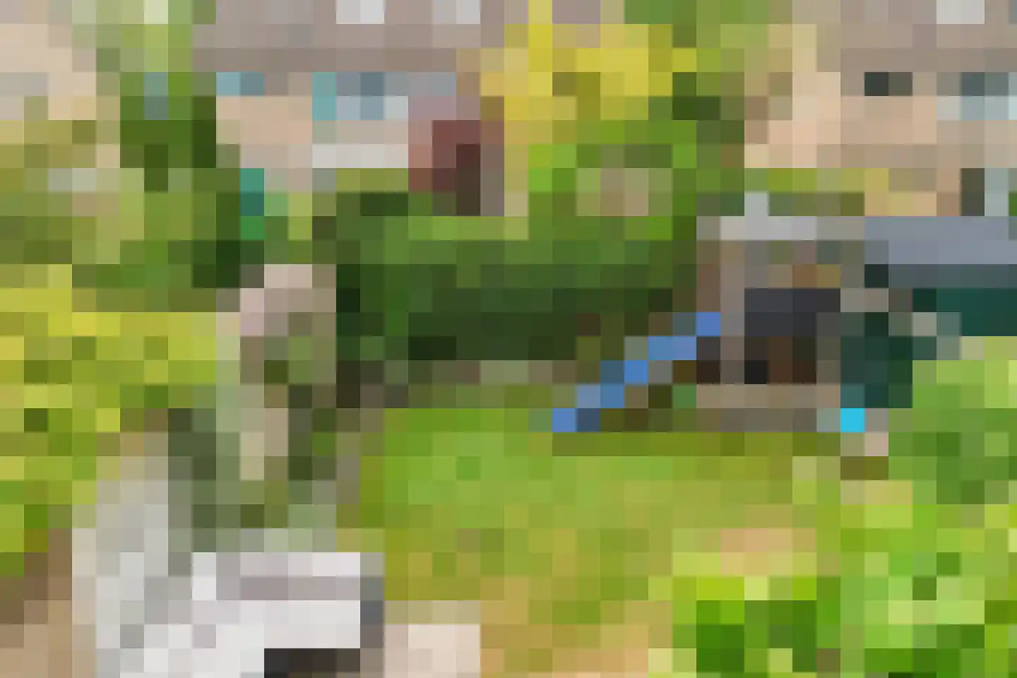 de Grouw 5 Leek thumbnail 24