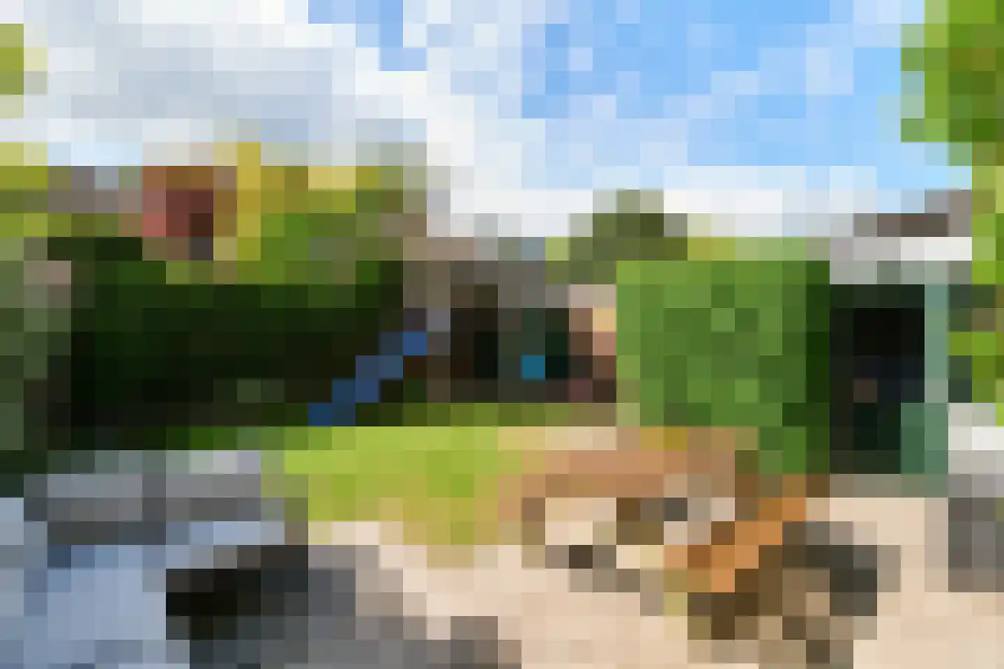 de Grouw 5 Leek thumbnail 26