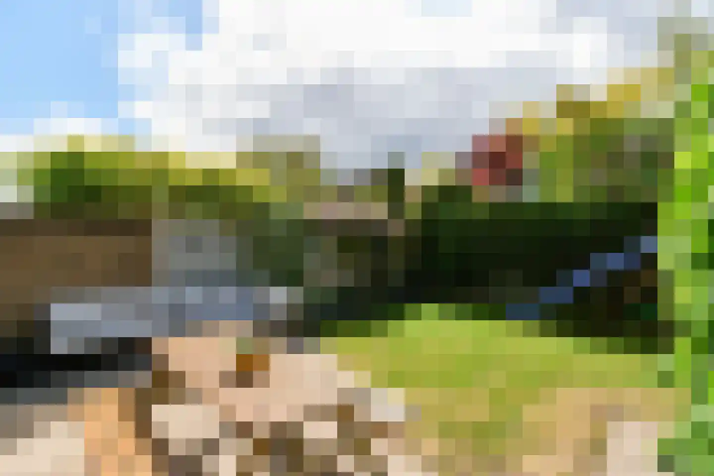 de Grouw 5 Leek thumbnail 27