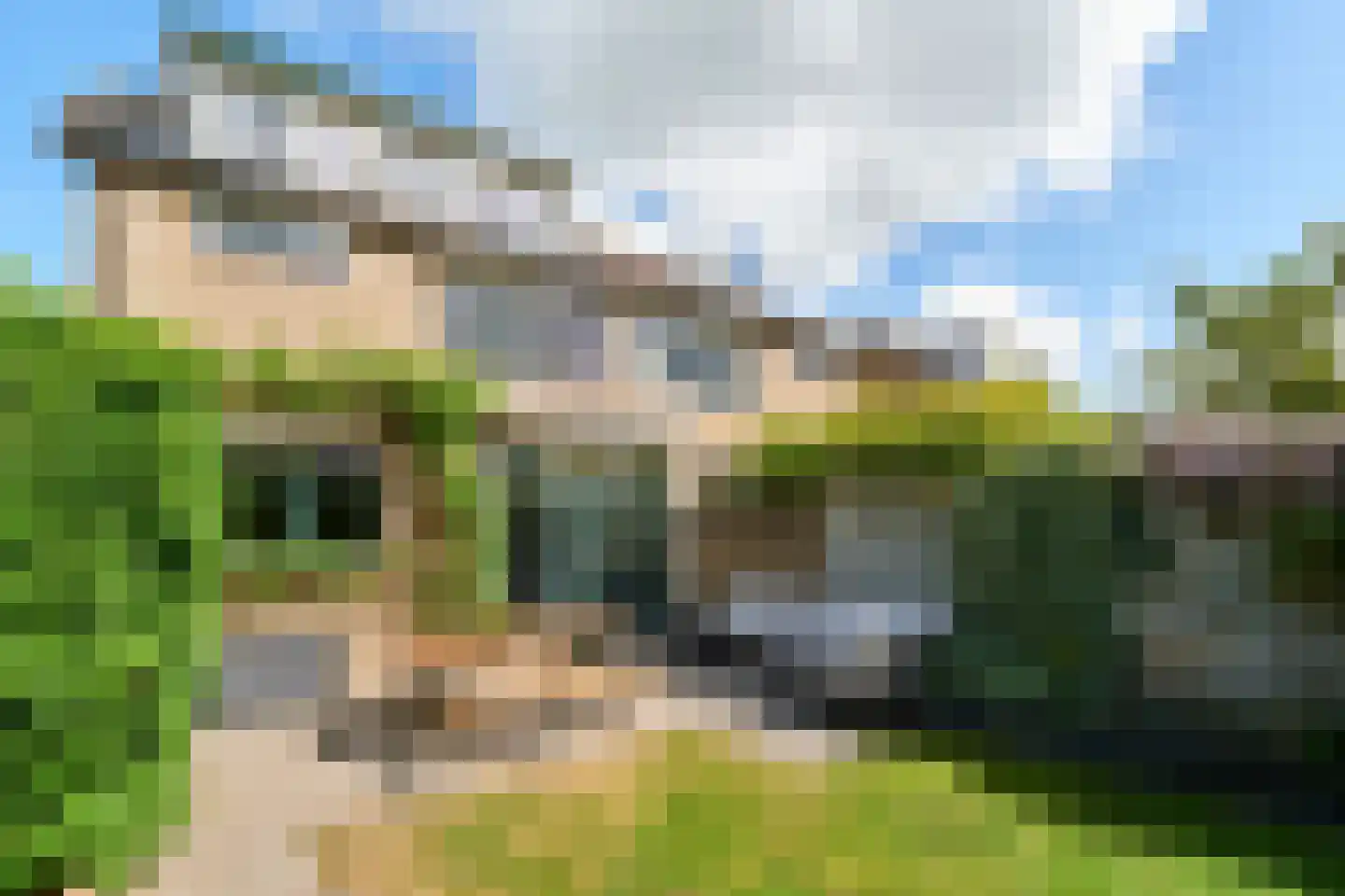 de Grouw 5 Leek thumbnail 28