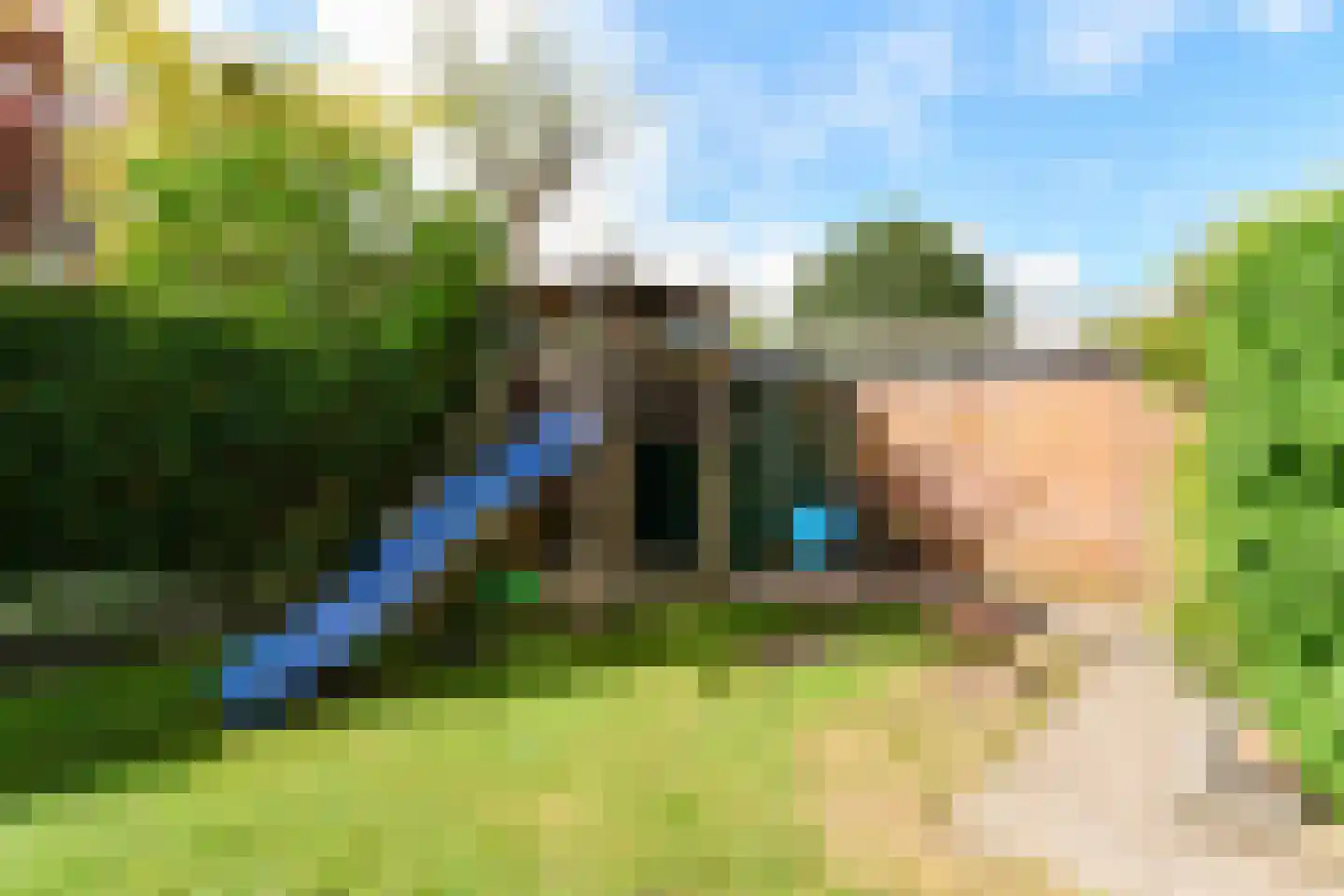 de Grouw 5 Leek thumbnail 29
