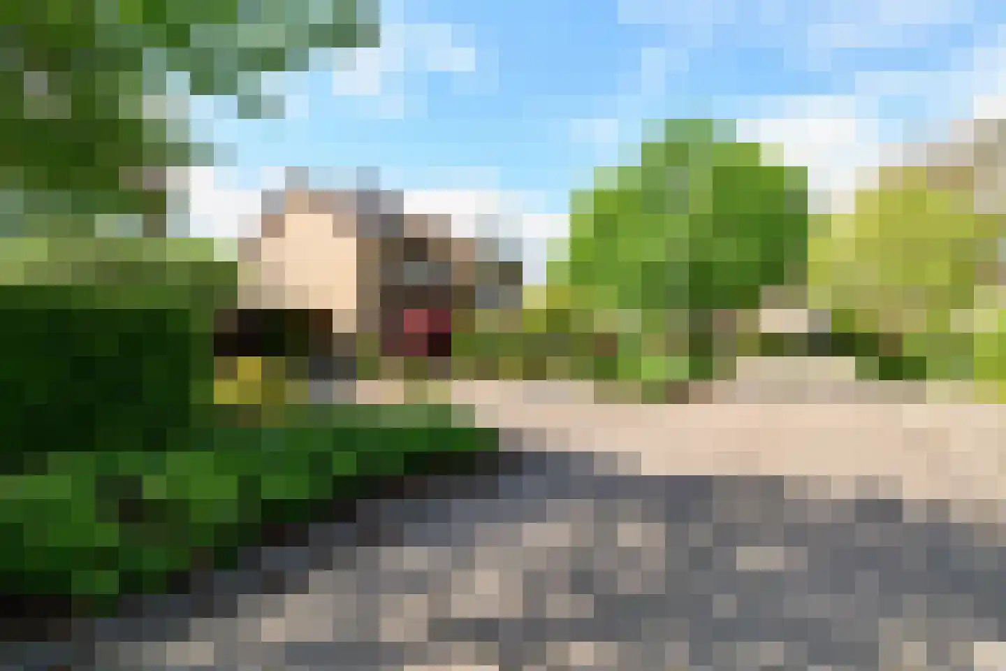 de Grouw 5 Leek thumbnail 31