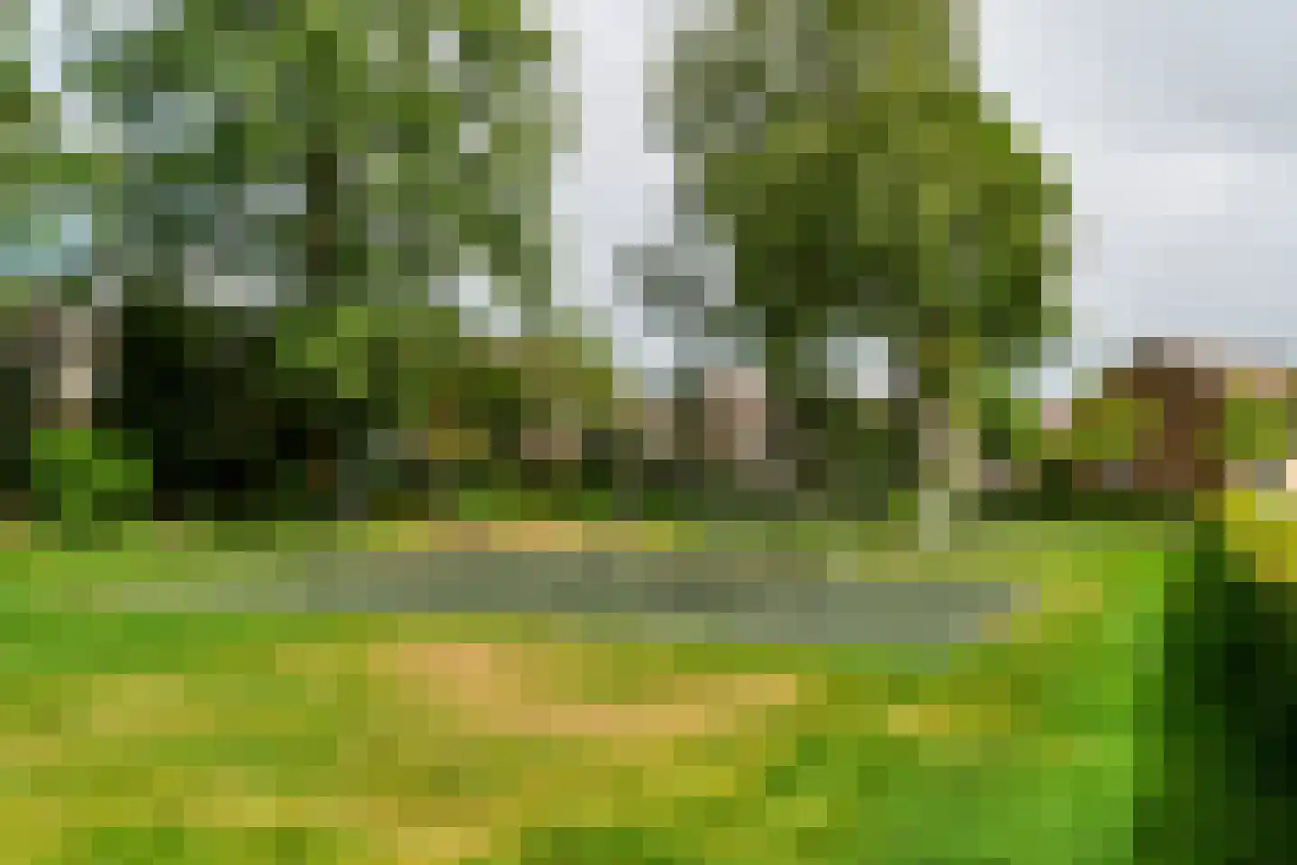 de Grouw 5 Leek thumbnail 32