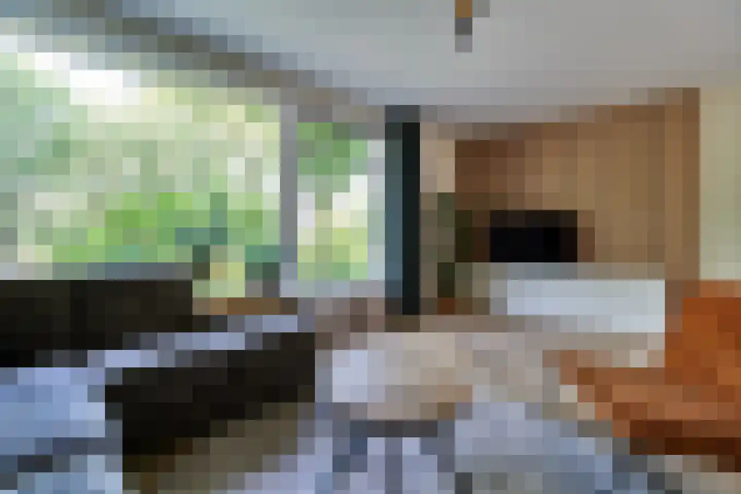 de Grouw 5 Leek thumbnail 4