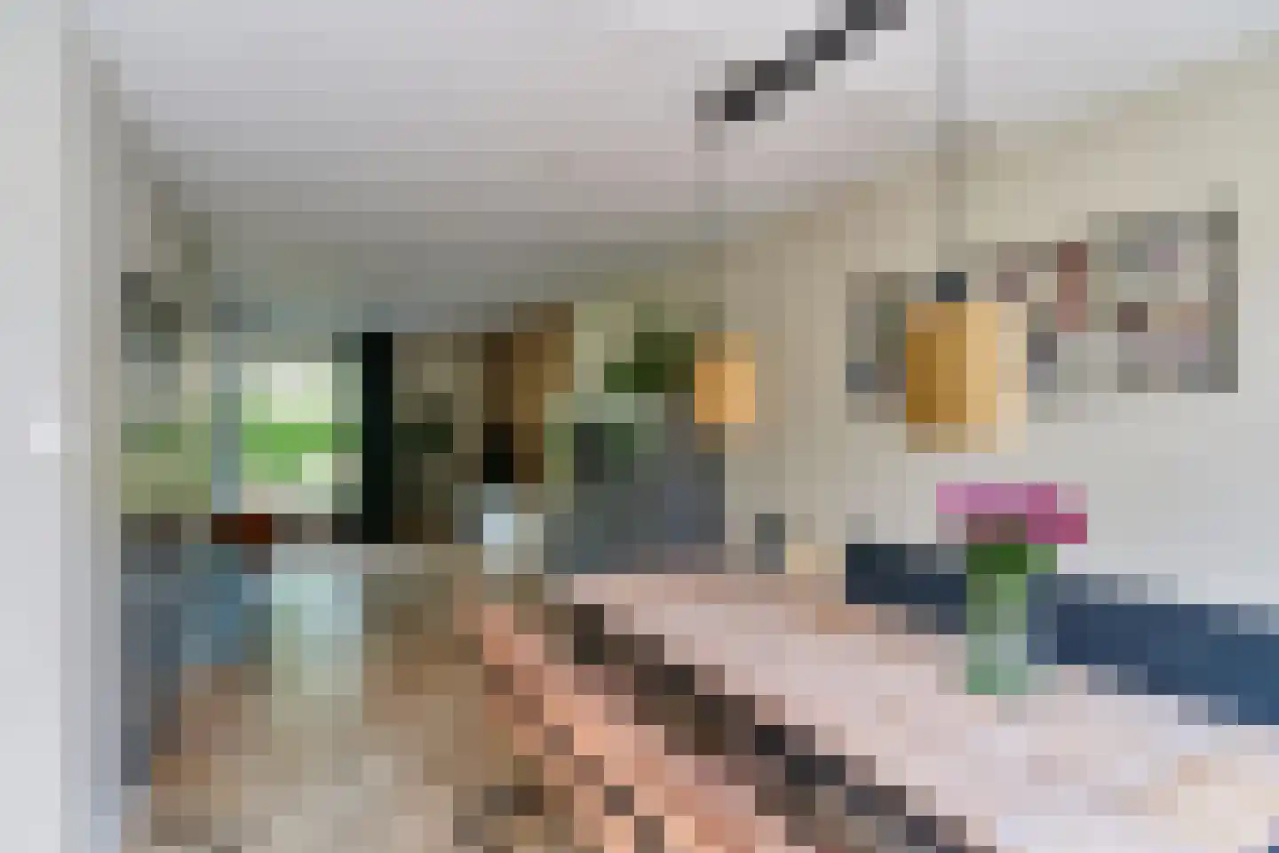 de Grouw 5 Leek thumbnail 6