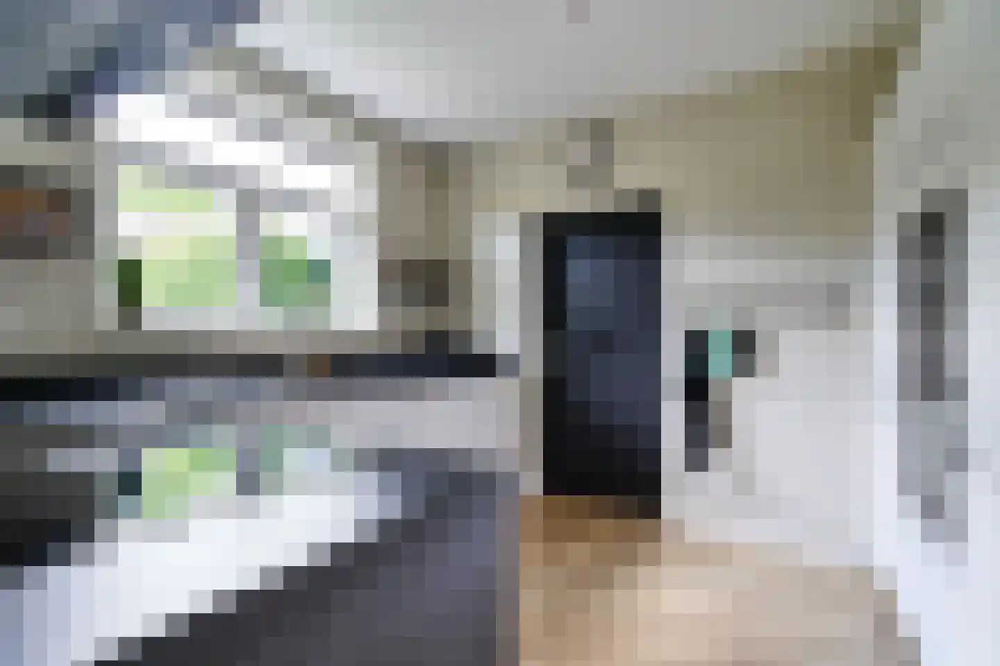 de Grouw 5 Leek thumbnail 7