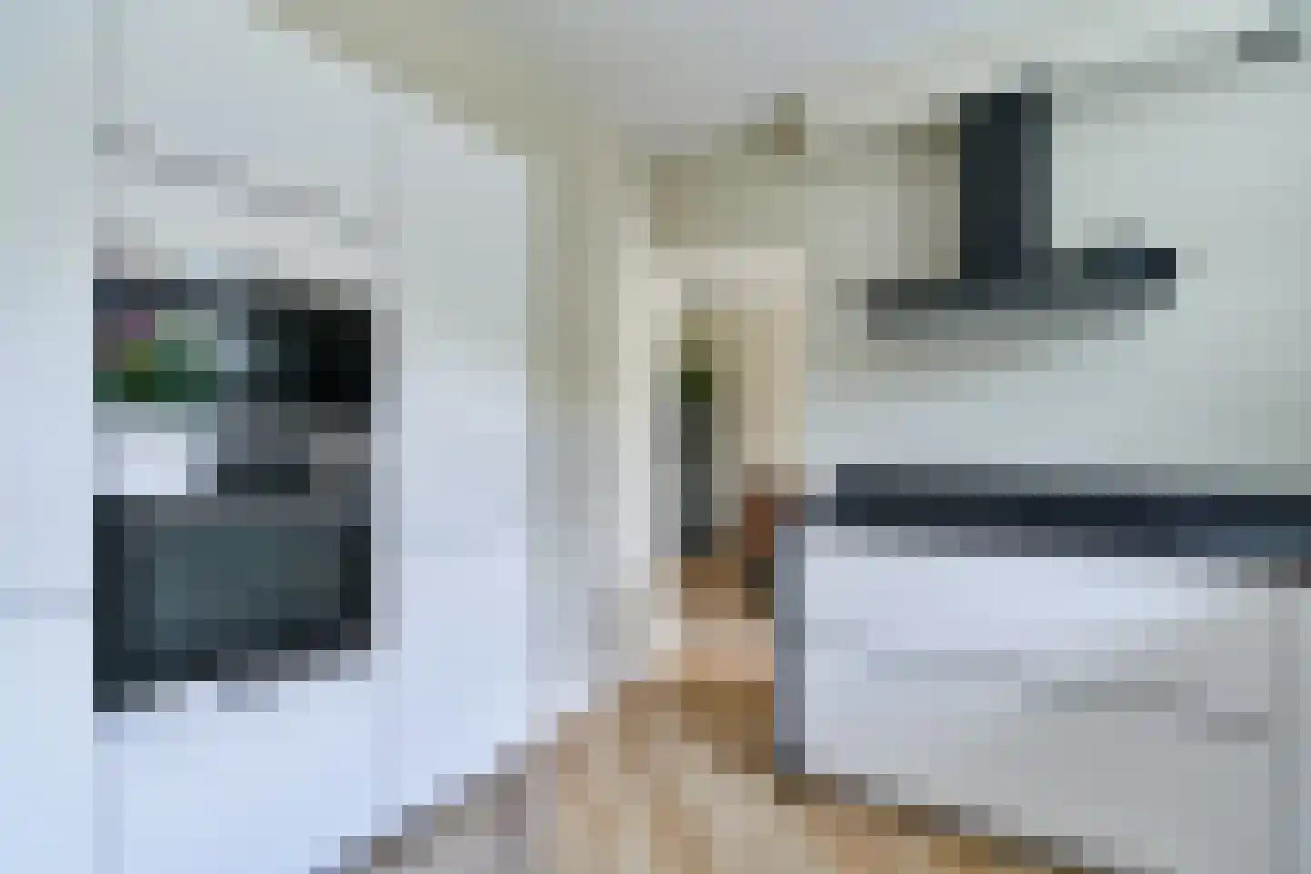de Grouw 5 Leek thumbnail 9