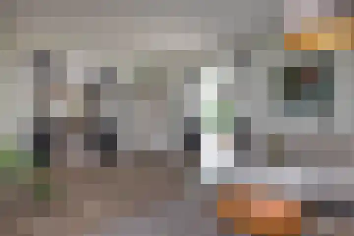 De Gruttenmaat 19 Reutum thumbnail 11