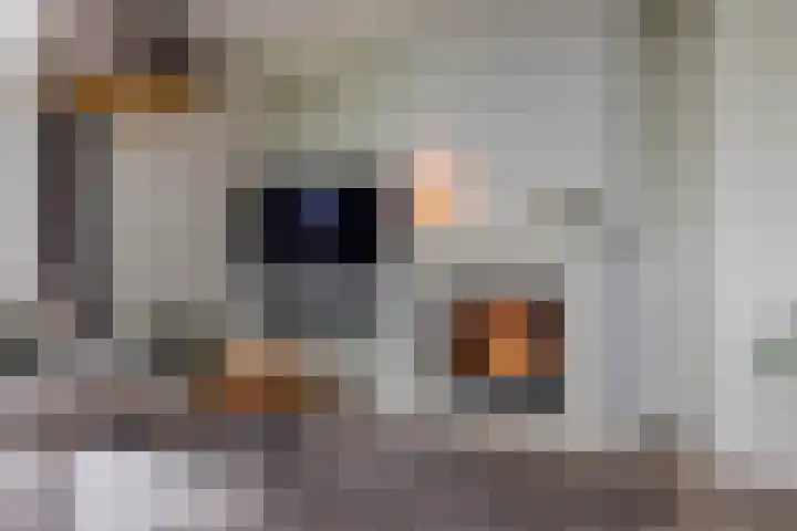 De Gruttenmaat 19 Reutum thumbnail 13