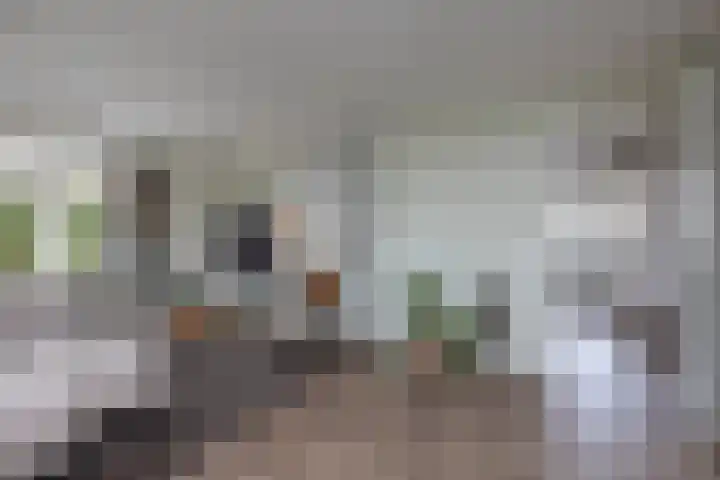 De Gruttenmaat 19 Reutum thumbnail 14