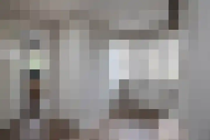 De Gruttenmaat 19 Reutum thumbnail 15