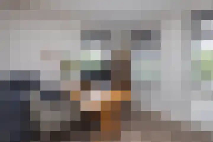 De Gruttenmaat 19 Reutum thumbnail 16